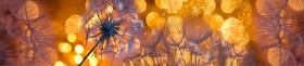 Кухонный фартук Мерцание Одуванчики золотистые 3 серебро в Шербакуле - sherbakul.katalogmebeli.com | фото